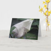 Carte de Moonflower (Fleur jaune)
