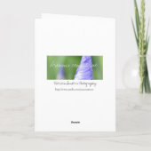 Carte de musique de l'univers (Dos)