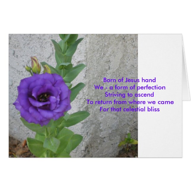 Carte de naissance de Jésus (Devant horizontal)