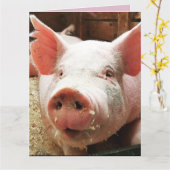 CARTE DE NAISSANCE DRÔLE DE COCHON (Fleur jaune)