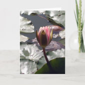 Carte de nénuphar rose (Devant)