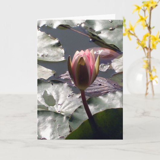 Carte de nénuphar rose (Fleur jaune)