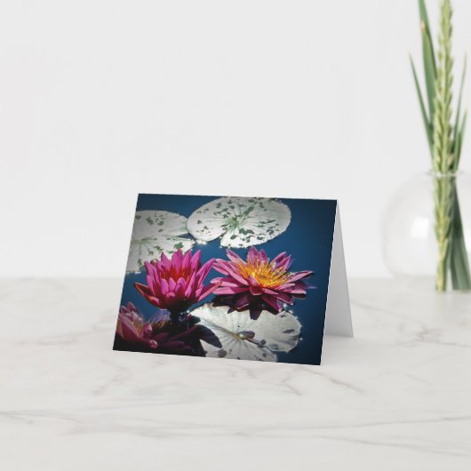 Carte de nénuphar (vierge) (Devant)