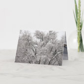 Carte de Noël (Dos)