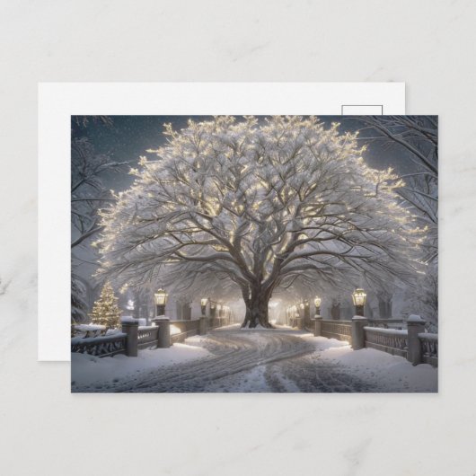 Carte de Noël (Devant / Derrière)