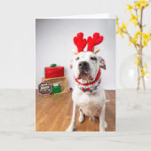 Carte de Noël (Fleur jaune)