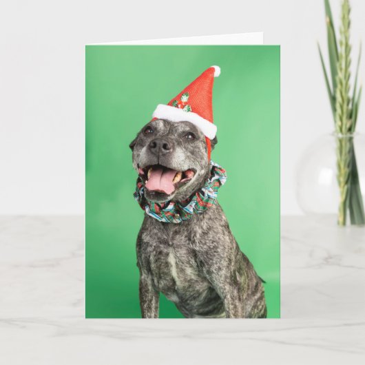 Carte de Noël (Devant)