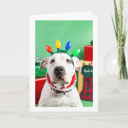 Carte de Noël (Devant)