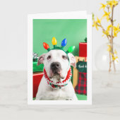 Carte de Noël (Fleur jaune)