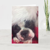 Carte de Noël (Devant)