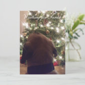 Carte de Noël (Debout devant)