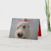 Carte de Noël 07 (Devant)