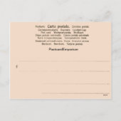 Carte de Noël 1904, Joyeux Noel (Dos)