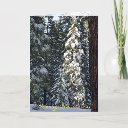 Carte de Noël 2006 (Devant)