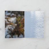 Carte de Noël 2006 (Intérieur)