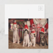 Carte de Noël 4 chatons (Devant / Derrière)