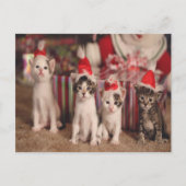 Carte de Noël 4 chatons (Devant)