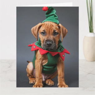 Carte de Noël à chipette Rhodesian Ridgeback Elf