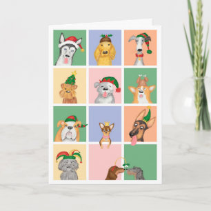 Carte de Noël à douze chiens