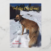 Carte de Noël à paillettes avec photo de chien cél (Recto)