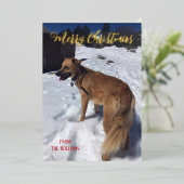 Carte de Noël à paillettes avec photo de chien cél (Debout devant)