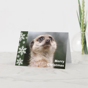 Carte de Noël Alert Meerkat