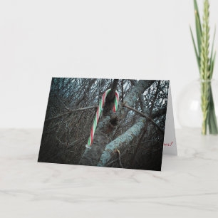 Carte de Noël "Alimagnet Candy Cane"