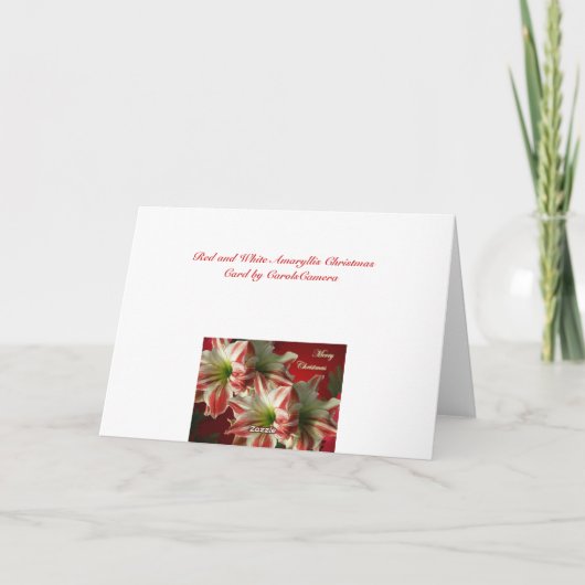 Carte de Noël Amaryllis (Dos)