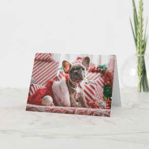 Carte de Noël Amoureux des chiens Bulldog Français