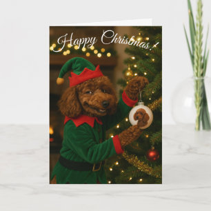 Carte de Noël amusante avec un elfe caniche mignon