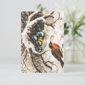 Carte de Noël ancienne représentant des oiseaux da (Debout devant)