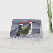 Carte de Noël Antarctique Beach (Devant)