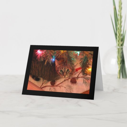 Carte de Noël arbre chat tigré (Devant)