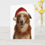 Carte de Noël au borzoï (marron et blanc) avec un (Fleur jaune)