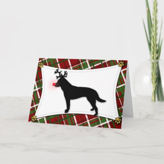 Carte de Noël australienne de renne de chien de (Devant)