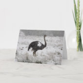 Carte de Noël - autruche (Devant)