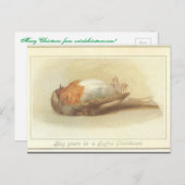 Carte de Noël aux oiseaux morts (Devant / Derrière)