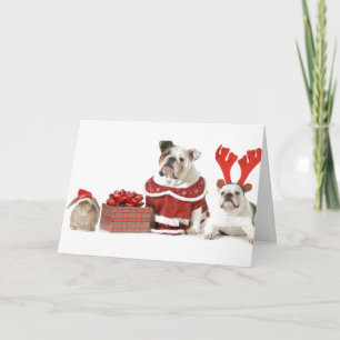 CARTE DE NOËL AVEC BOULEDOGUES ET LAPIN
