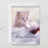 Carte de Noël avec chat. (Devant)