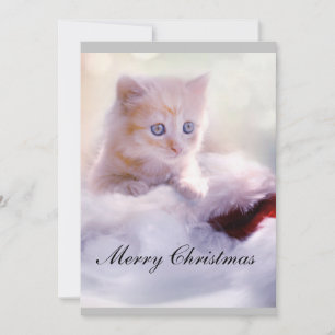 Carte de Noël avec chat.