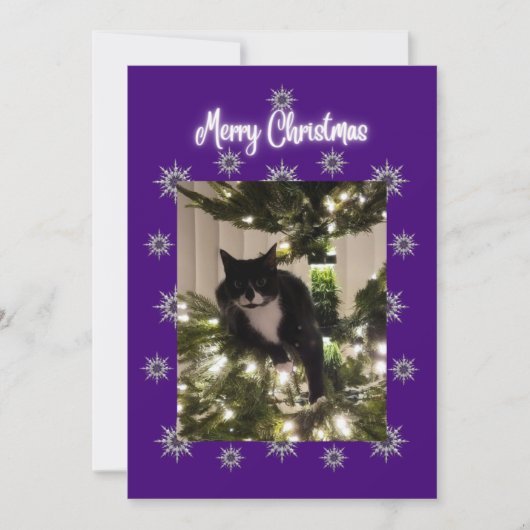 Carte de Noël avec chat smoking sur l'arbre. (Devant)