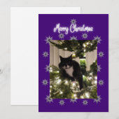 Carte de Noël avec chat smoking sur l'arbre. (Devant / Derrière)