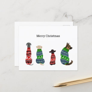 Carte de Noël avec Chiens portant un pull