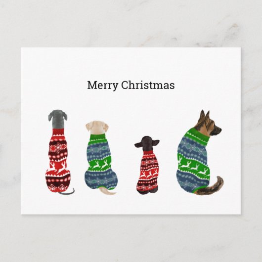 Carte de Noël avec Chiens portant un pull (Devant)