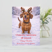 Carte de Noël avec citation douce de chien mignon  (Debout devant)