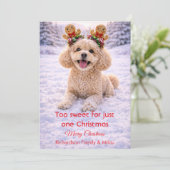 Carte de Noël avec citation douce de chien mignon (Debout devant)