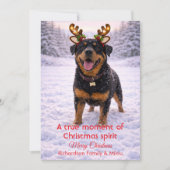 Carte de Noël avec citation douce et chien mignon  (Devant)