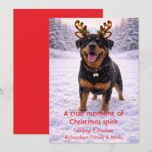 Carte de Noël avec citation douce et chien mignon