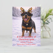 Carte de Noël avec citation douce et chien mignon  (Debout devant)