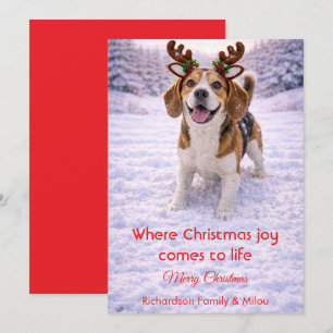 Carte de Noël avec citation douce sur un chien mig